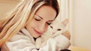Cat калкулатор за човечки марки